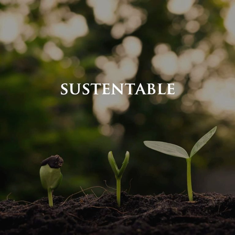 img-sustentable